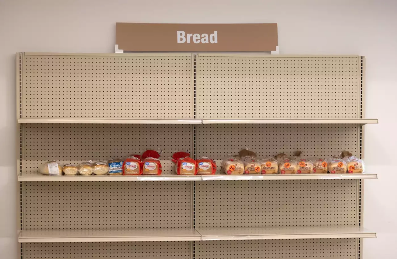 mprfoodshelf3.jpg